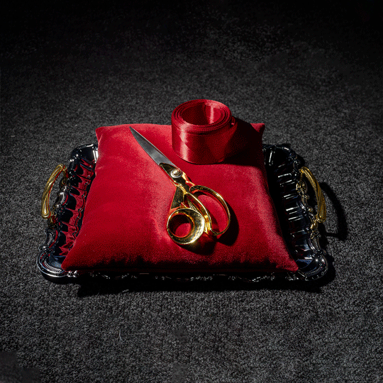 <span style="font-weight: bold;">Набор для торжественного открытия&nbsp;</span>