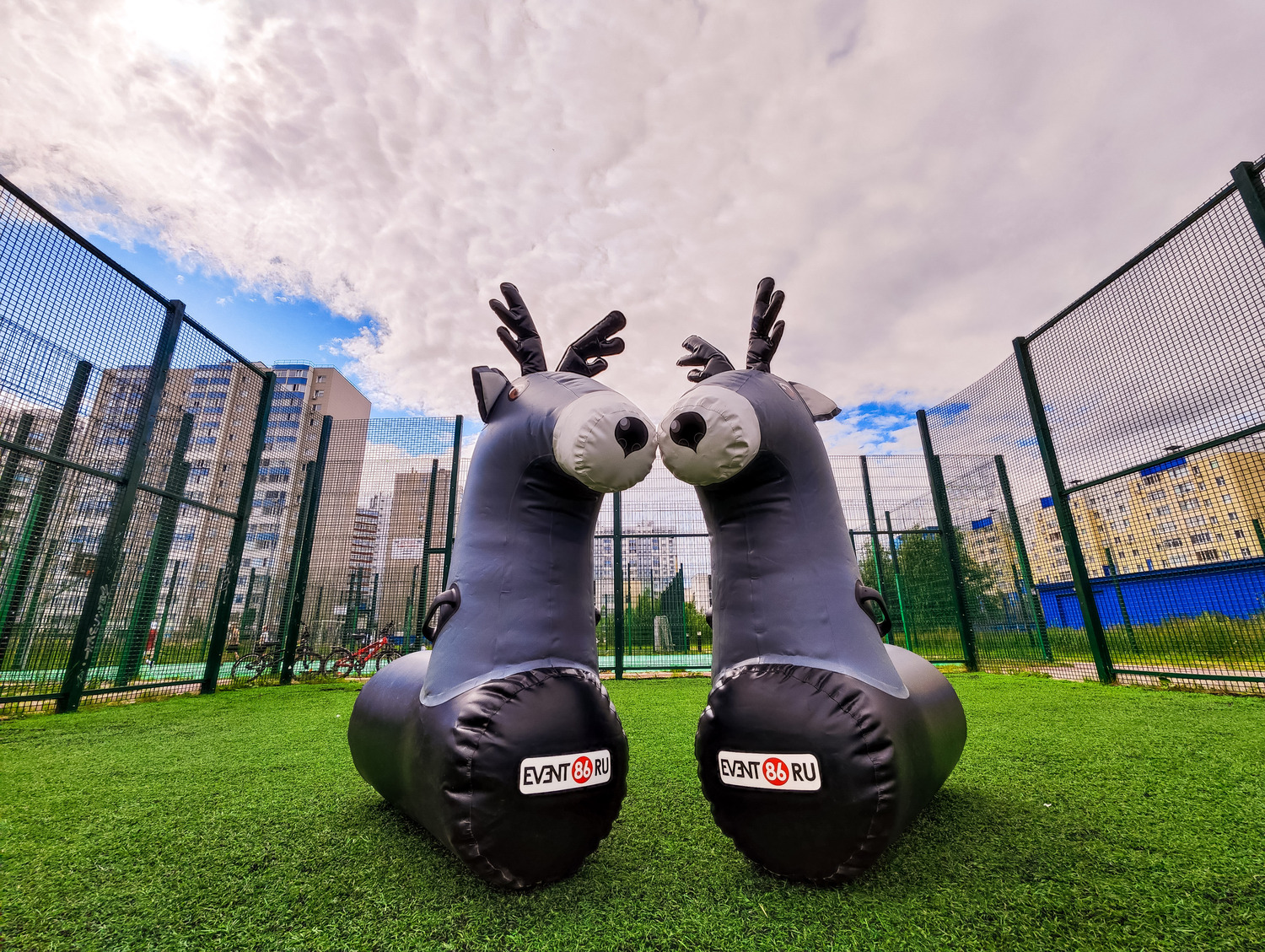 <span style="font-weight: bold;">ОЛЕНЬИ БЕГА (СКАЧКИ)</span>